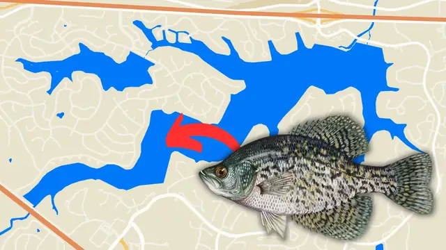 Lake St. Louis Fish Stocking History